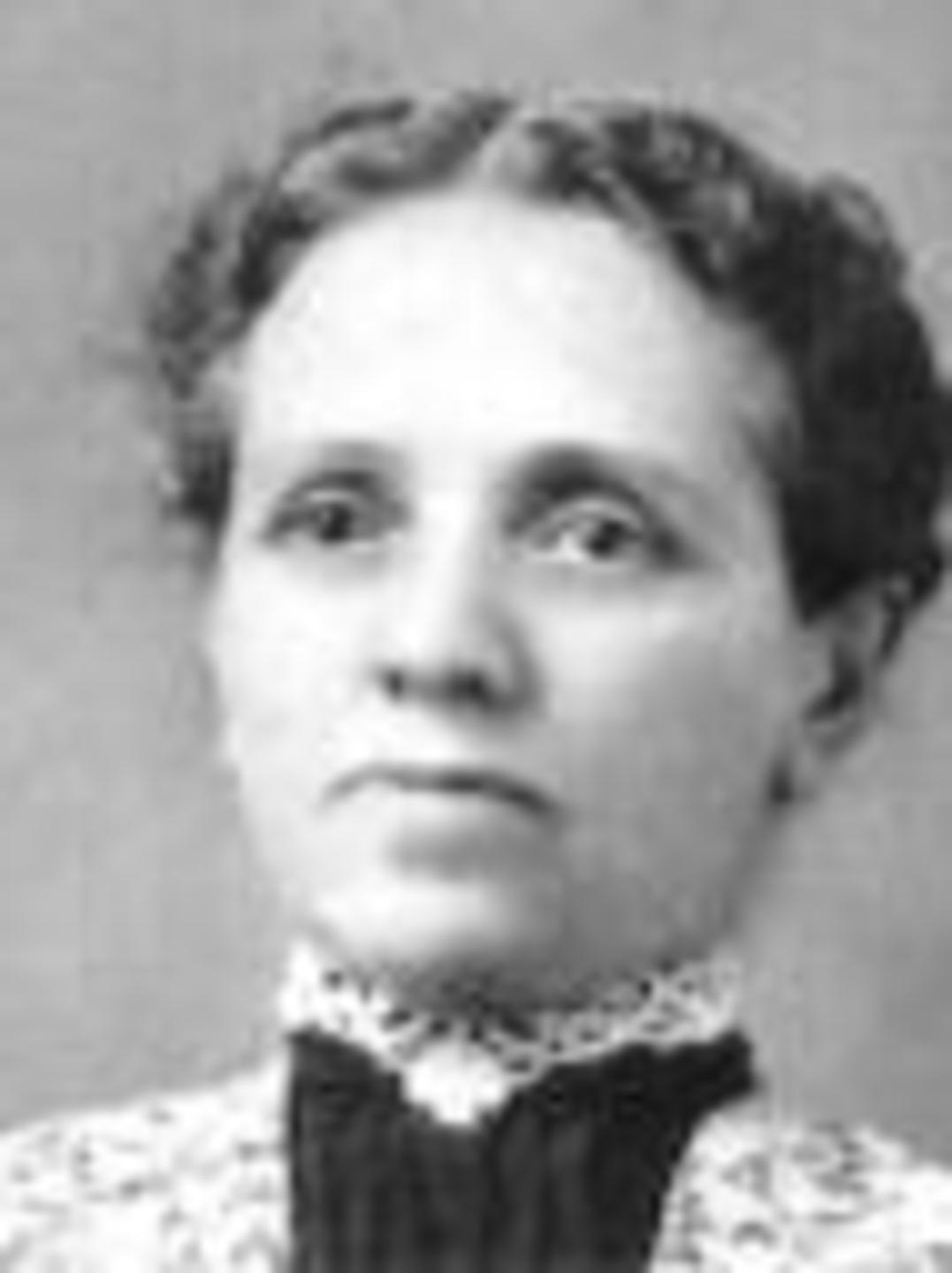 Ann Dewsnup (1844 - 1913) Profile